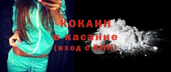 шишки Богородицк