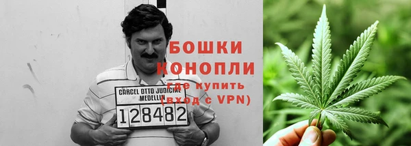 a pvp Бородино