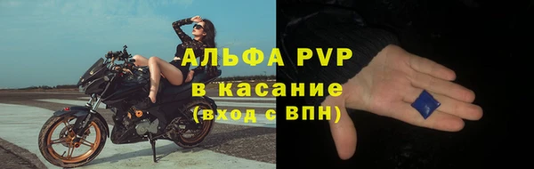 a pvp Бородино