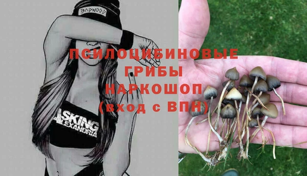 шишки Богородицк