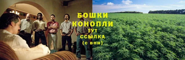 шишки Богородицк