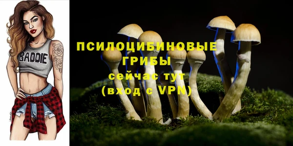 шишки Богородицк