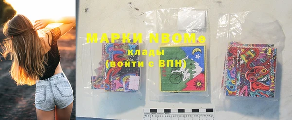 шишки Богородицк