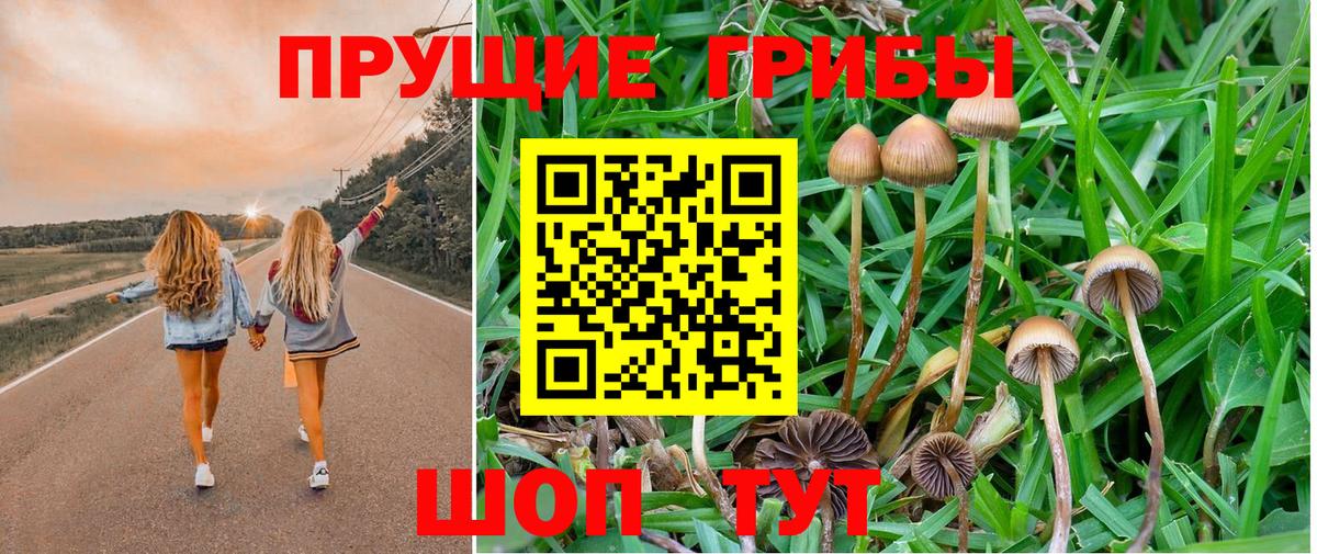 наркошоп  Галлюциногенные грибы GOLDEN TEACHER  Вход с VPN  Псилоцибиновые грибы мухоморы  Свободный 