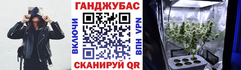 закладки Свободный Каннабис сатива